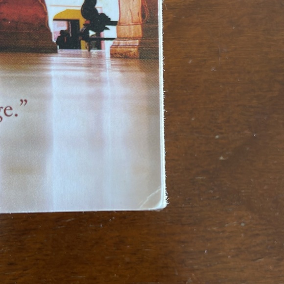 BOOK - The Henna Artist by Alka Joshi - Picture 5 of 5